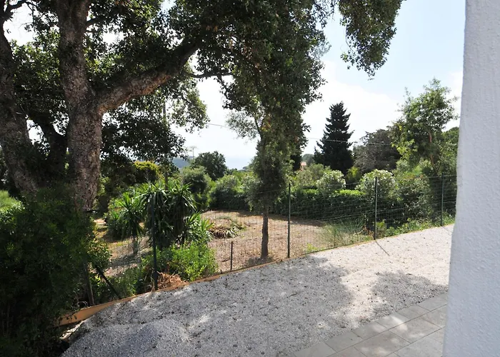 I Lauri * 포르투 아주로